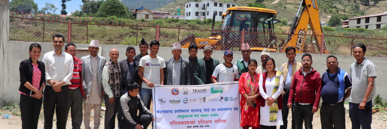Succeeding with CITES: Sustainable and equitable Jatamansi trade from Nepal