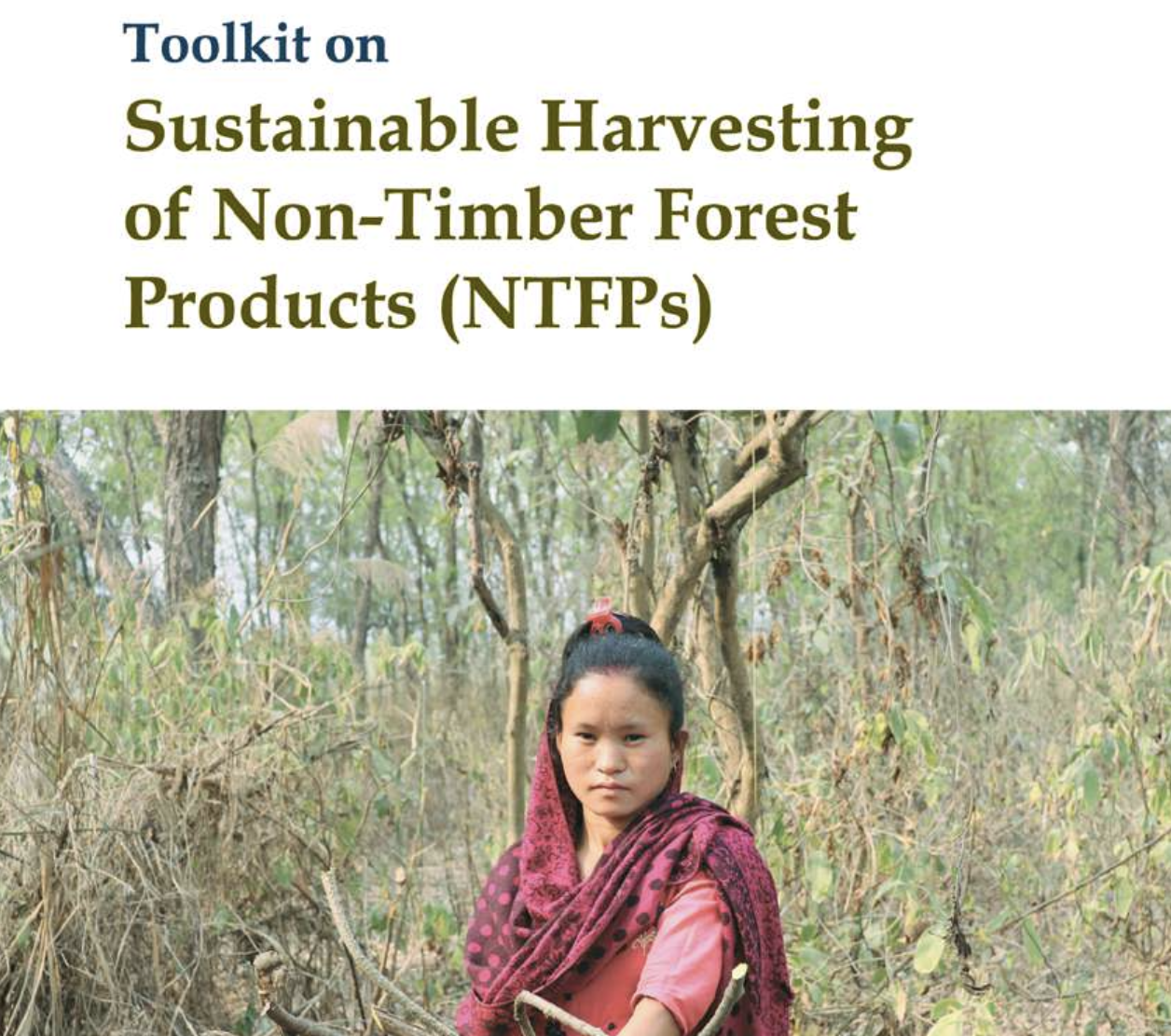 Toolkit on Sustainable Harvesting of Non-Timber Forest Products (English version)