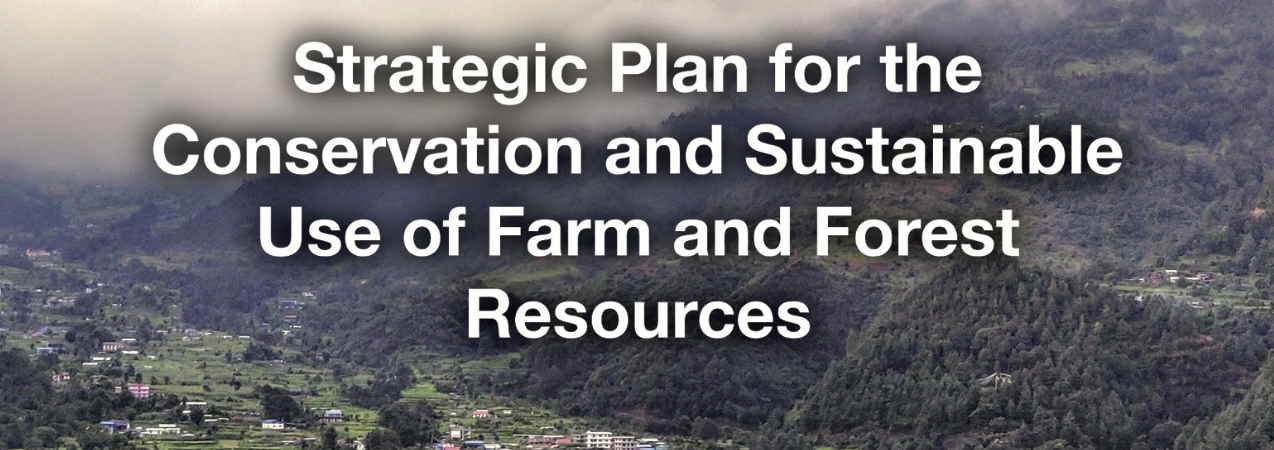 Jiri Municipality’s strategic plan for the conservation and sustainable use of farm and forest resources (English version)