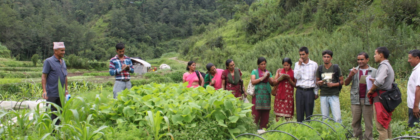 Nepal center of excellence in rural development: Designing agribusiness model for ecosystem-based commercial agriculture [Phase I, Year II]