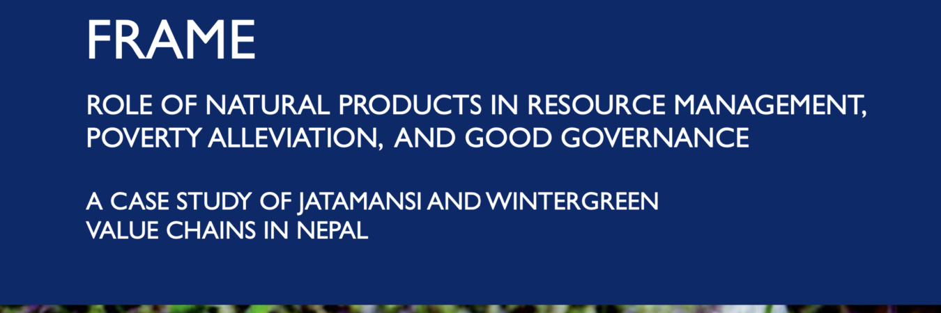 Role of natural products in resource management, poverty alleviation and good governance – A case study of Jatamansi and Wintergreen value chains in Nepal