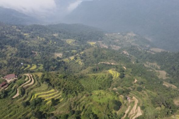 Nature Conservation and Agroforestry Production in Rural Communities